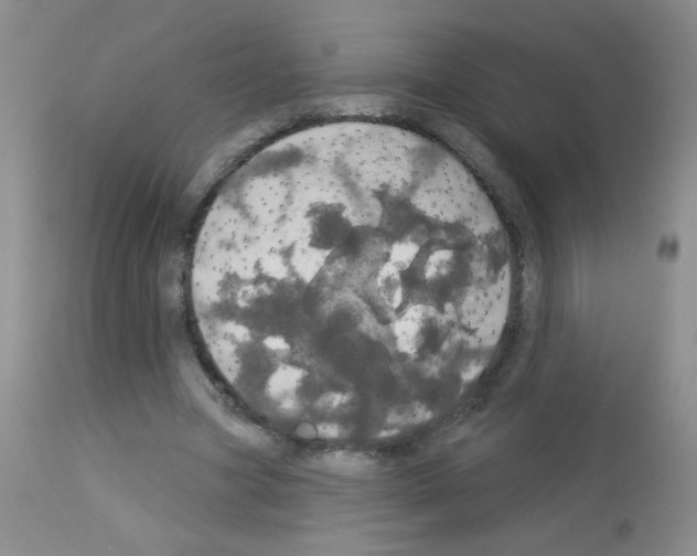 X0000113080537200910091234