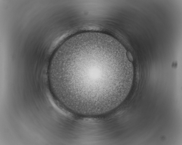 X0000113080538200910091234