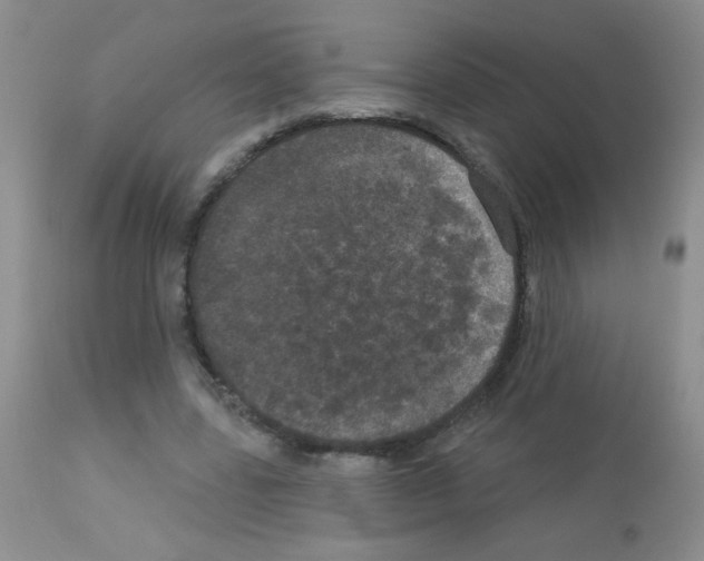 X0000113080539200910091234