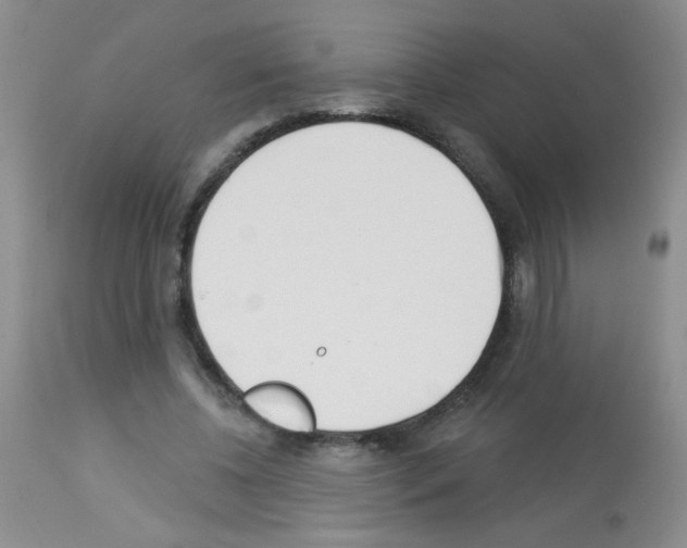 X0000113080540200910091234