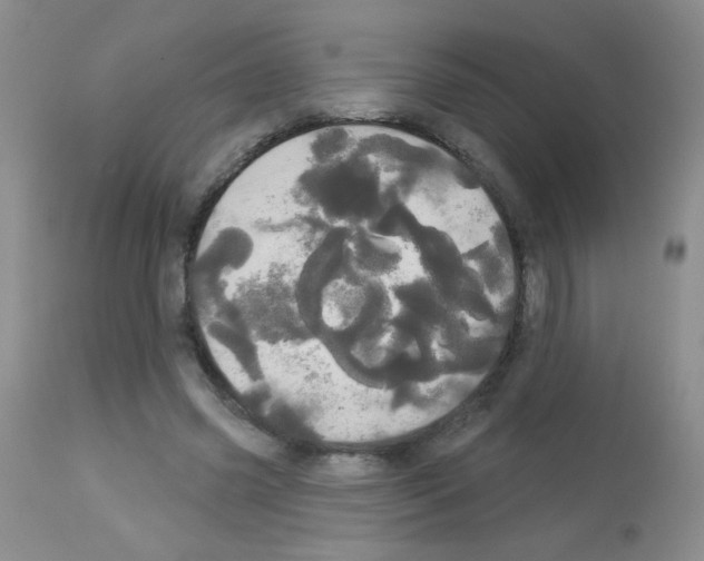 X0000113080541200910091234