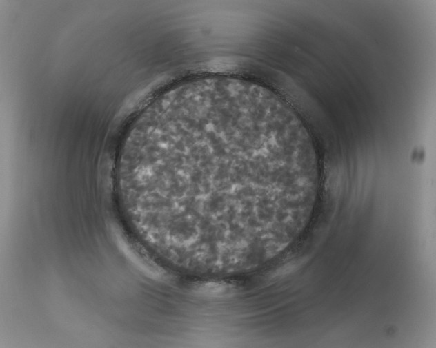 X0000113080542200910091234