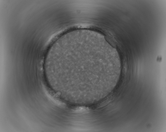 X0000113080543200910091234