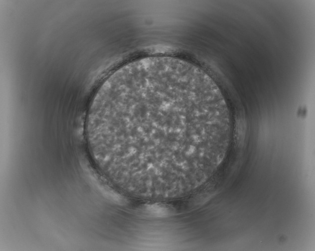 X0000113080545200910091234