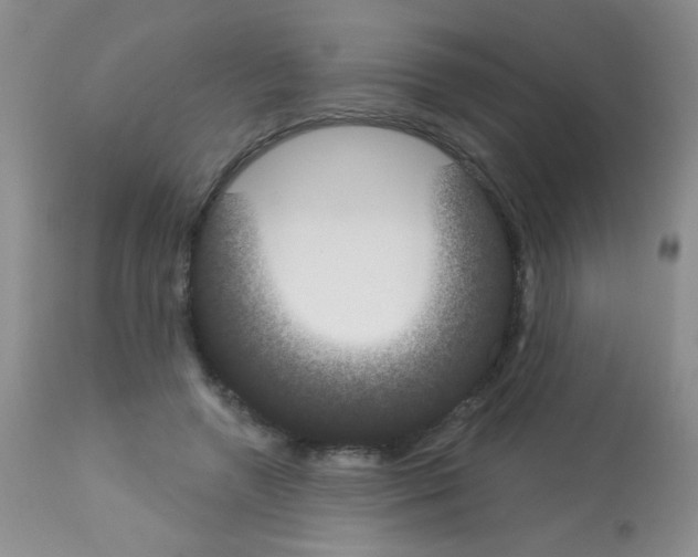 X0000113080546200910091235