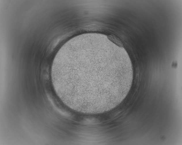 X0000113080547200910091235