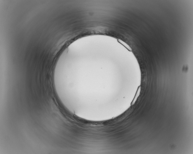 X0000113080548200910091235