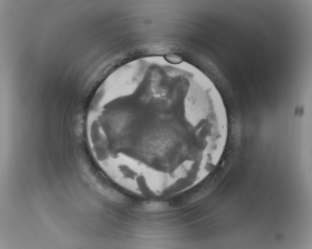 X0000113080549200910091235