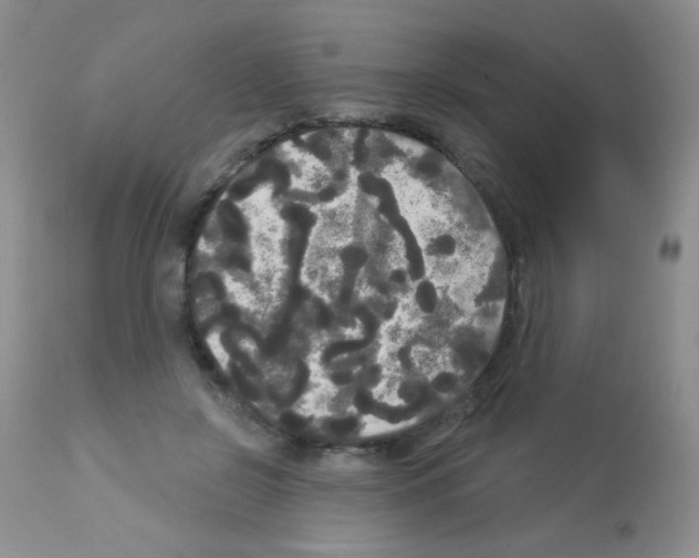 X0000113080550200910091235