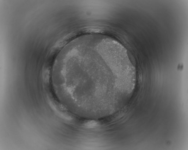 X0000113080551200910091235