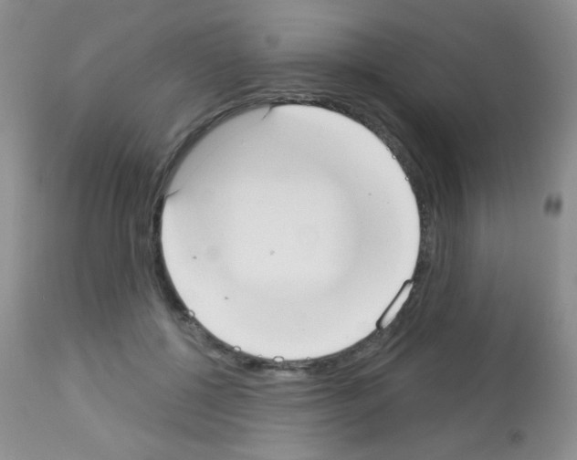 X0000113080552200910091235
