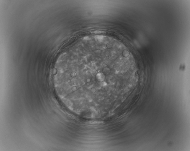 X0000113080553200910091235