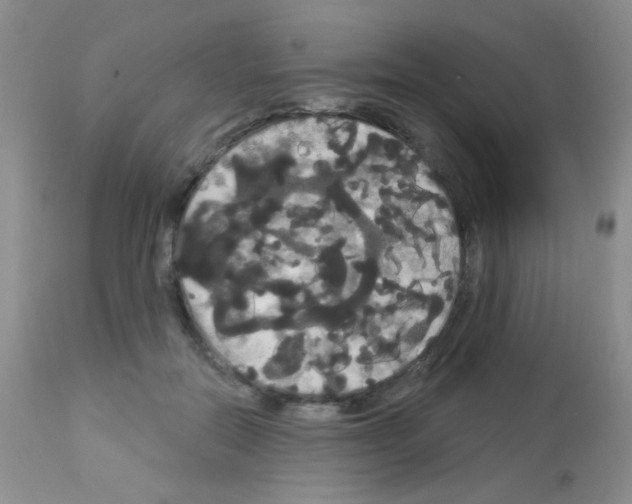 X0000113080554200910091235