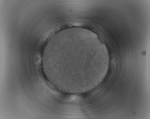 X0000113080555200910091235