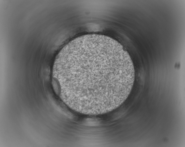 X0000113080556200910091235