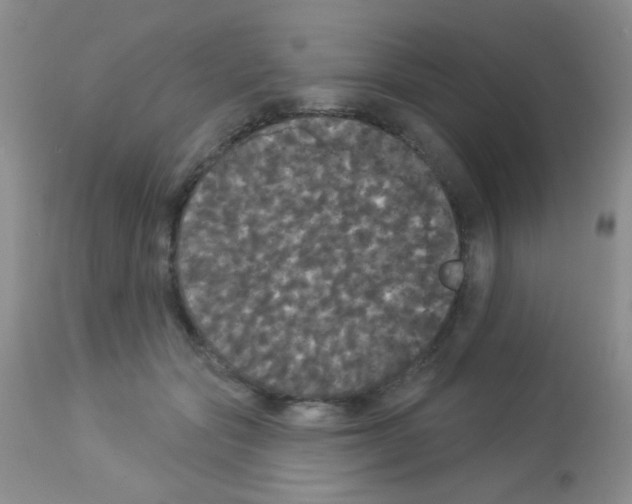 X0000113080557200910091235