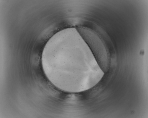 X0000113080558200910091235