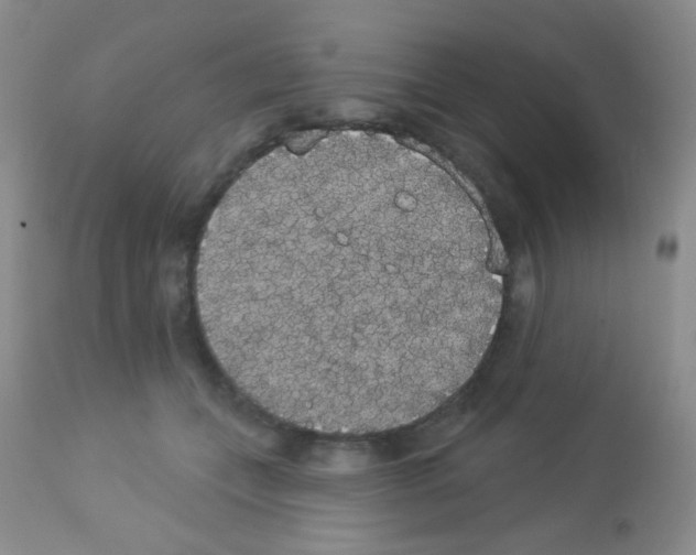 X0000113080559200910091235