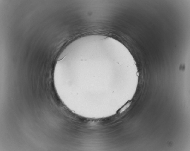 X0000113080560200910091235