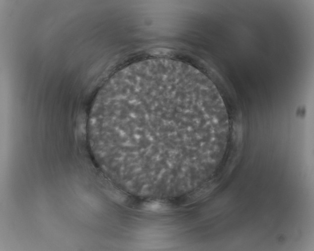X0000113080561200910091235