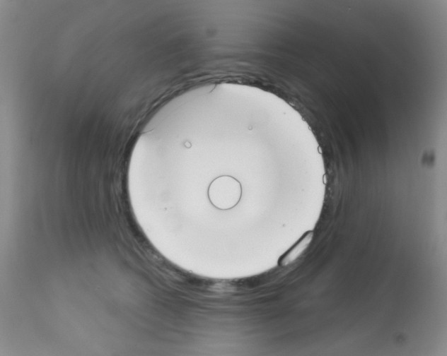 X0000113080562200910091235