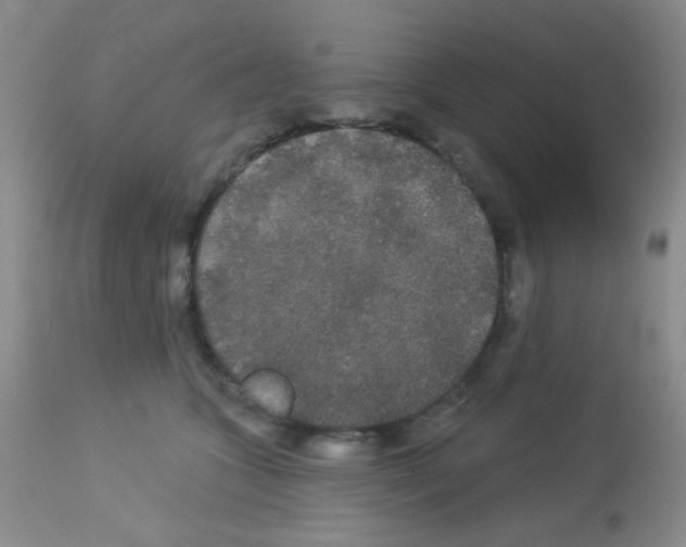 X0000113080563200910091235