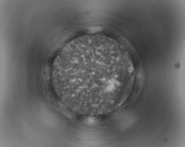 X0000113080565200910091235