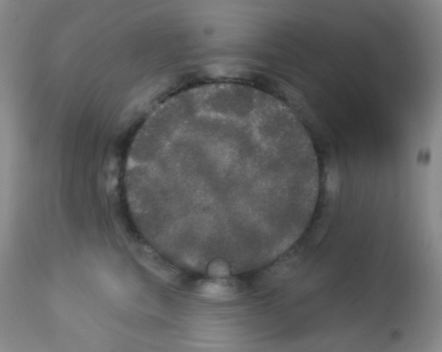 X0000113080567200910091235