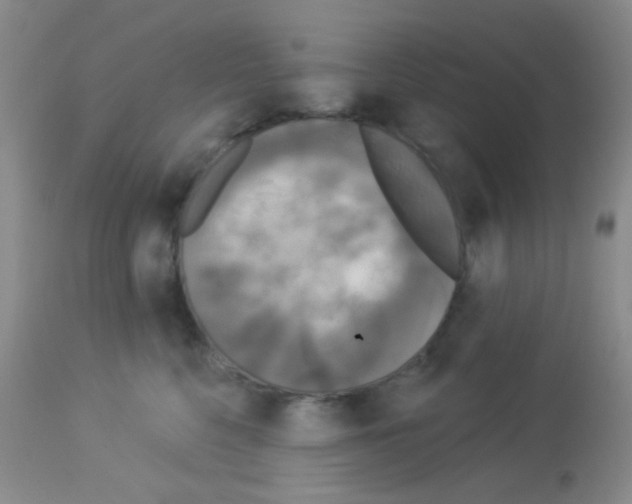 X0000113080568200910091235
