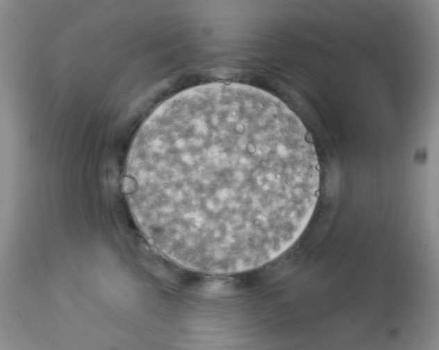 X0000113080569200910091235