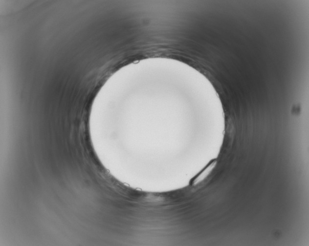 X0000113080570200910091235