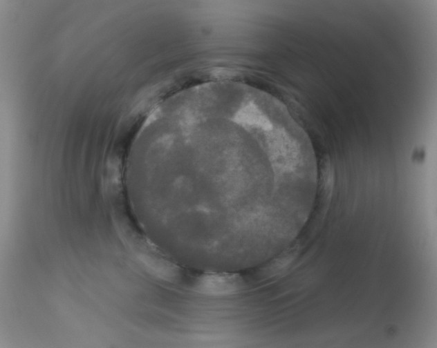 X0000113080571200910091235