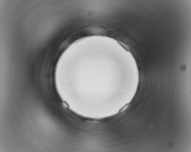 X0000113080572200910091235