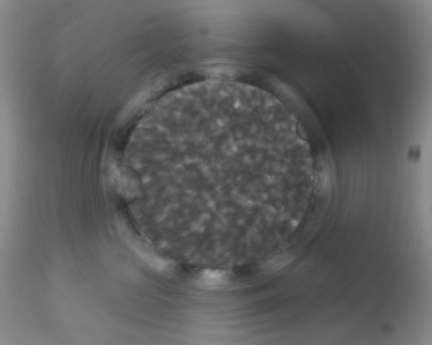 X0000113080573200910091235
