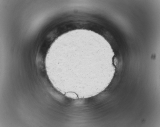 X0000113080574200910091235