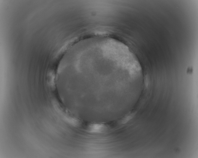 X0000113080575200910091235