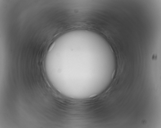 X0000113080576200910091235