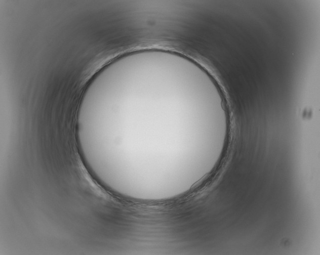X0000113080577200910091234