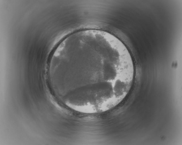 X0000113080578200910091234