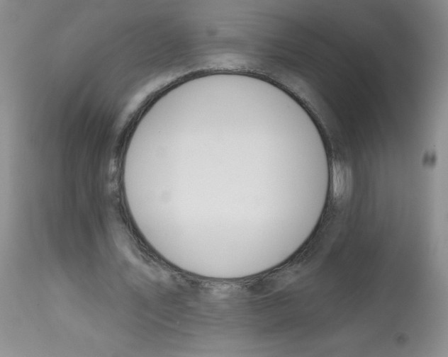 X0000113080579200910091234
