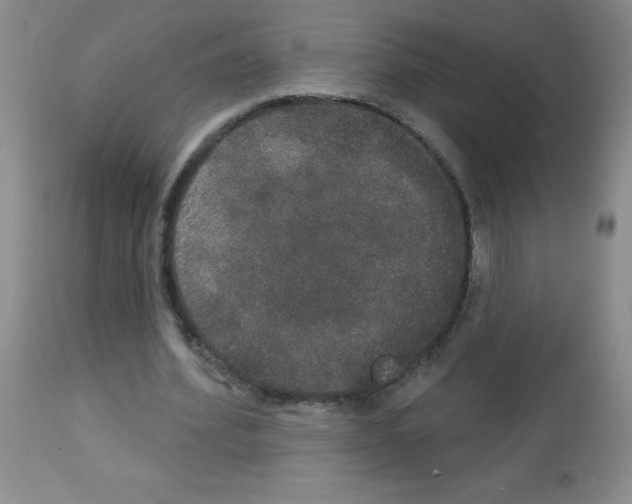 X0000113080580200910091234