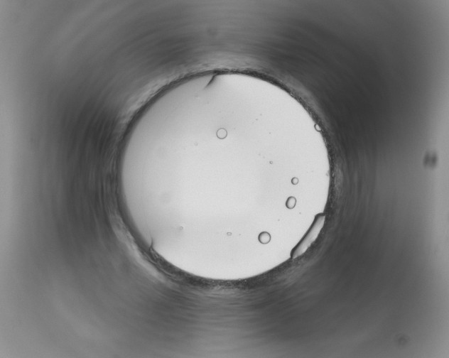 X0000113080581200910091234