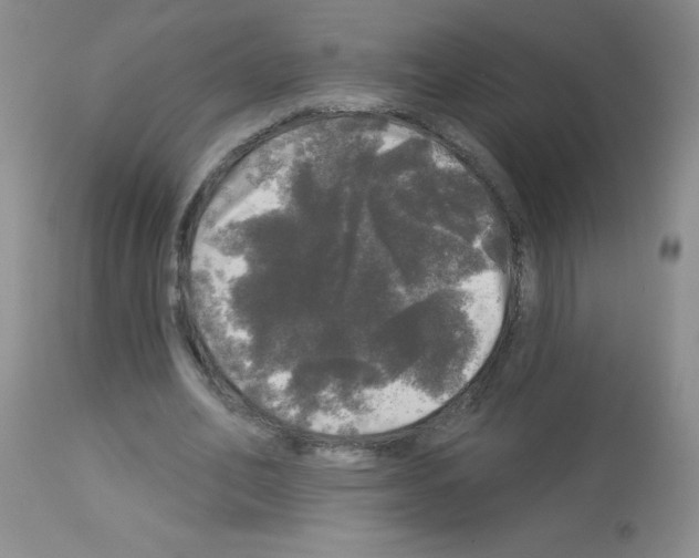 X0000113080582200910091234