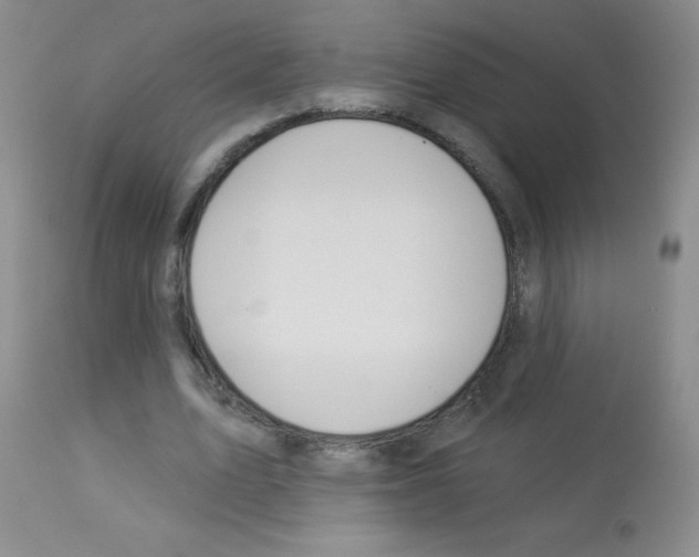 X0000113080583200910091234