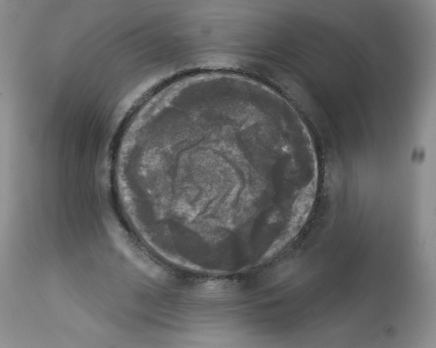 X0000113080584200910091234