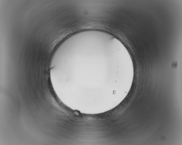X0000113080585200910091234