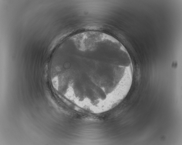 X0000113080586200910091234