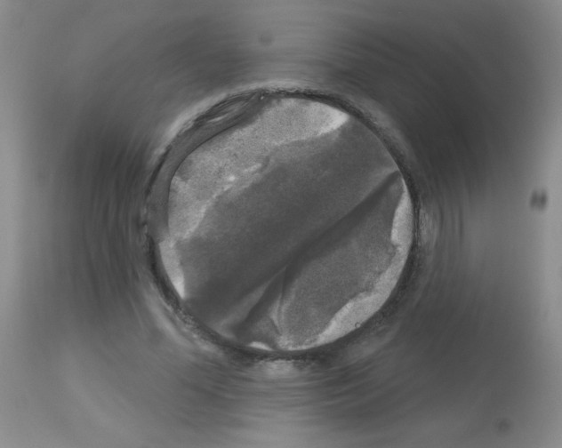 X0000113080588200910091234
