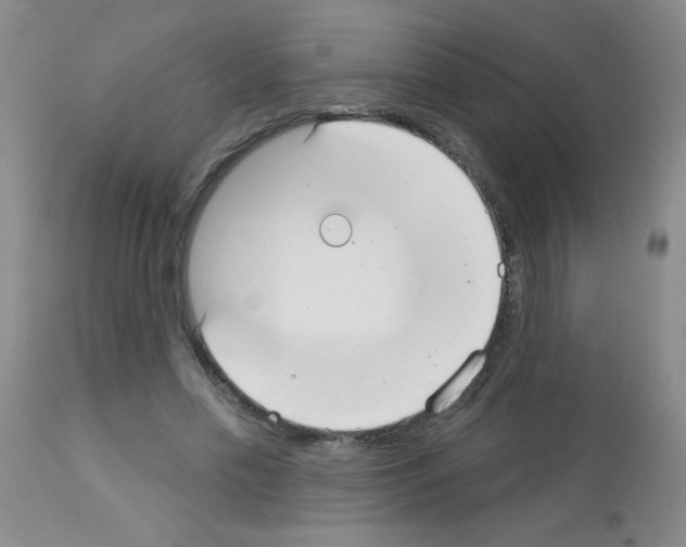 X0000113080589200910091234