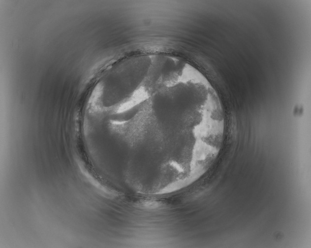 X0000113080590200910091234